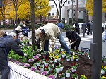 市役所前の植栽.jpg