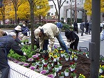 市役所前の植栽.jpg